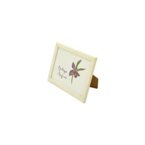 Cadre Blanc PM – Image 3