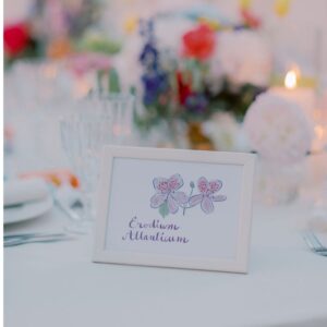 Cadre Blanc PM – Image 2