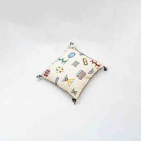Coussins à motifs colorés